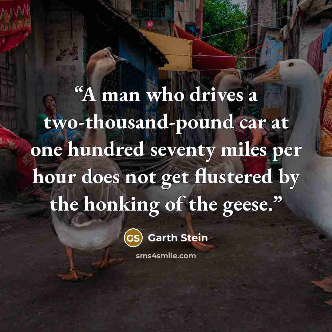 “A man who drives a two-thousand-pound car at one hundred seventy miles per hour does not get flustered by the honking of the geese.” quote by Garth Stein