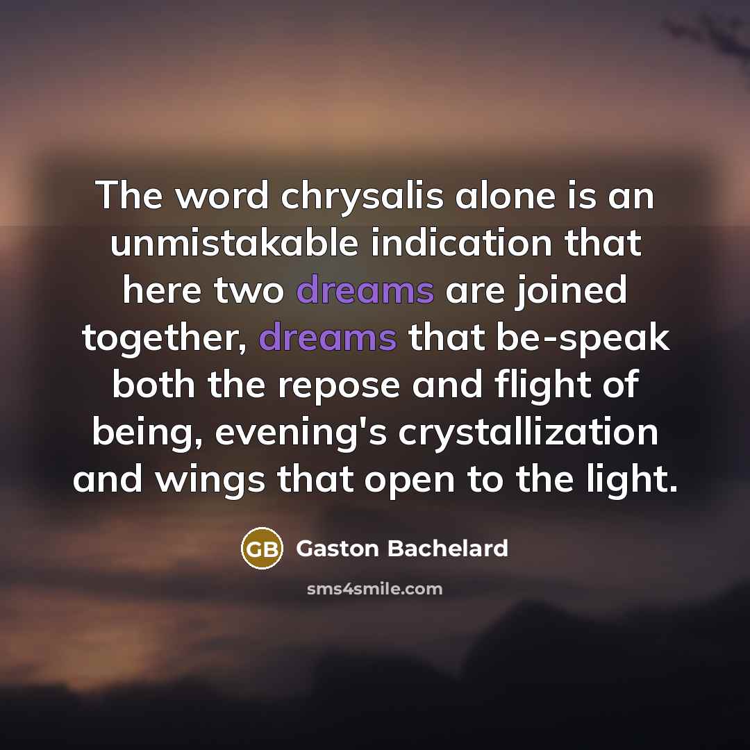 “The word chrysalis alone is an unmistakable indication that here…” quote by Gaston Bachelard