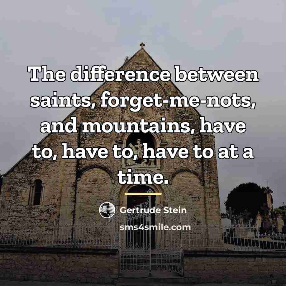 “The difference between saints, forget-me-nots, and mountains, have to, have…” quote by Gertrude Stein