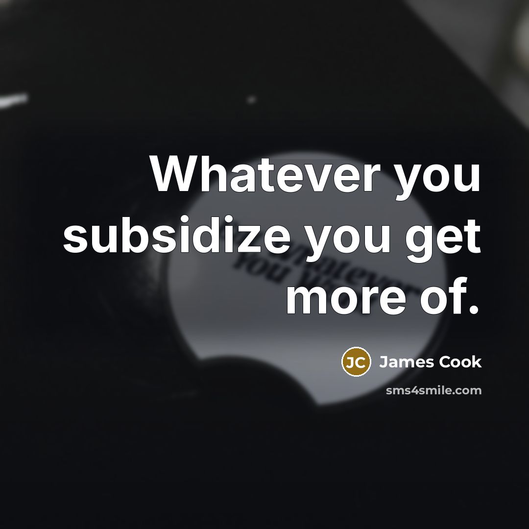 “Whatever you subsidize you get more of.…” quote by James Cook
