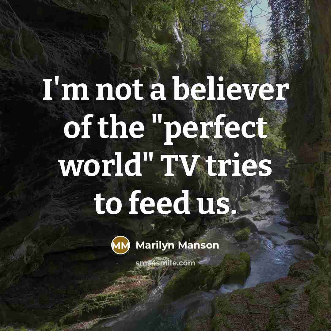 “I'm not a believer of the "perfect world" TV tries…” quote by Marilyn Manson