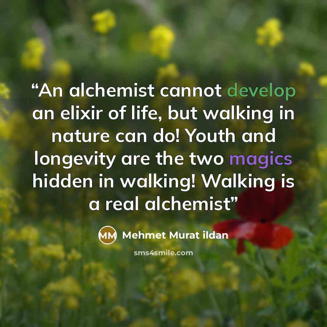 “An alchemist cannot develop an elixir of life, but walking in nature can do! Youth and longevity are the two magics hidden in walking! Walking is a real alchemist” quote by Mehmet Murat ildan