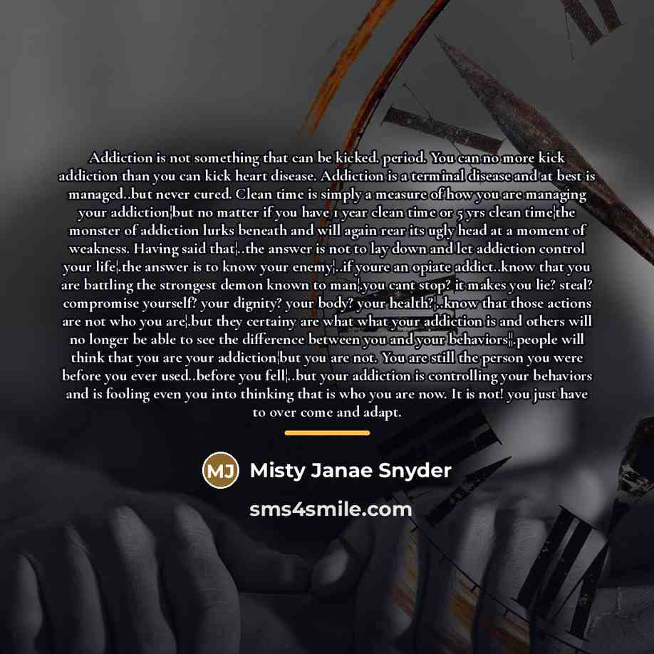 “Addiction is not something that can be kicked. period. You…” quote by Misty Janae Snyder