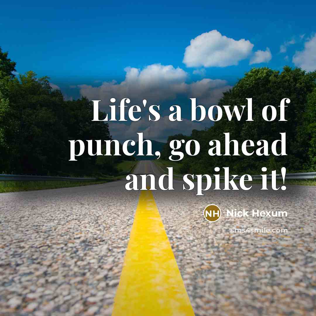 “Life's a bowl of punch, go ahead and spike it!…” quote by Nick Hexum