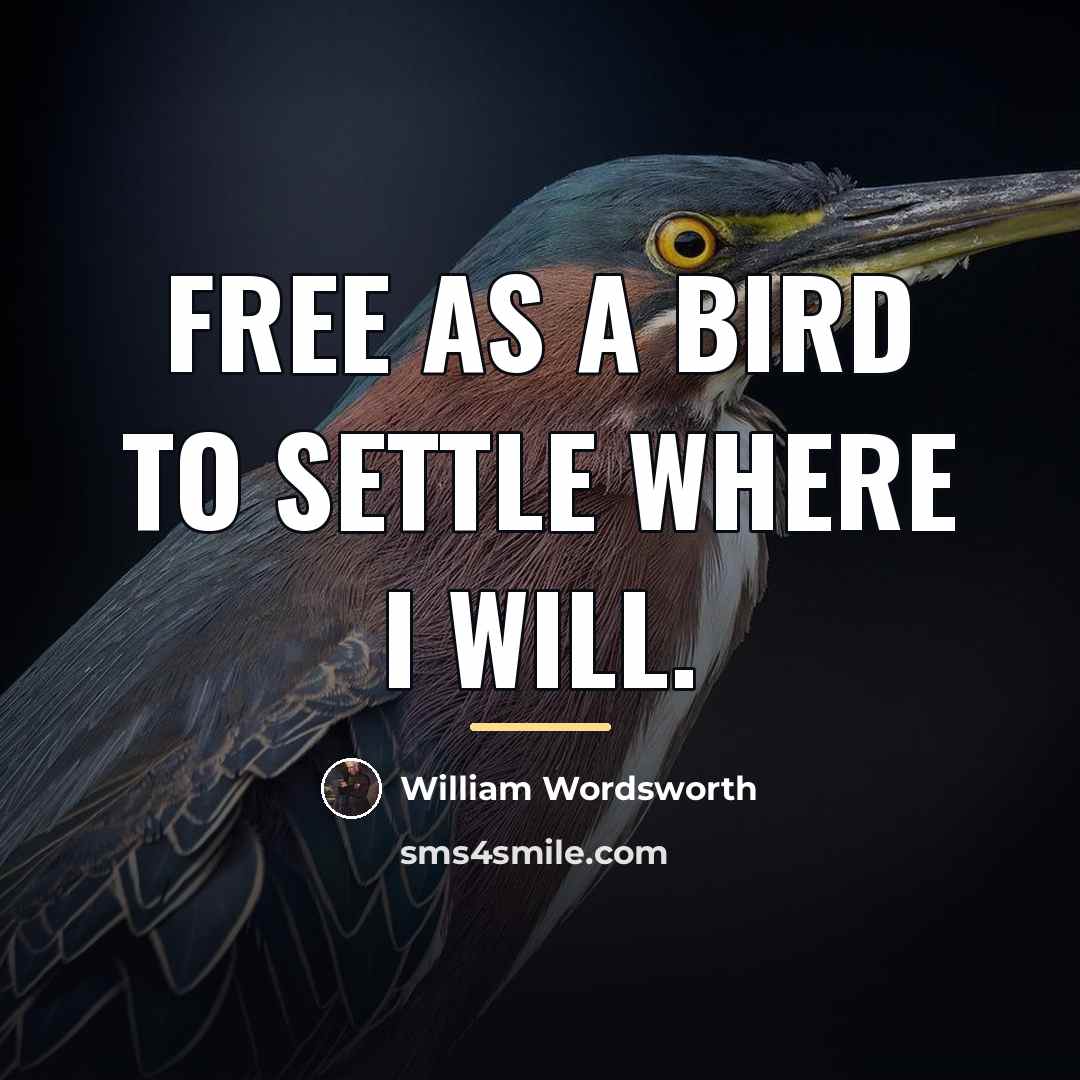 “Free as a bird to settle where I will.…” quote by William Wordsworth