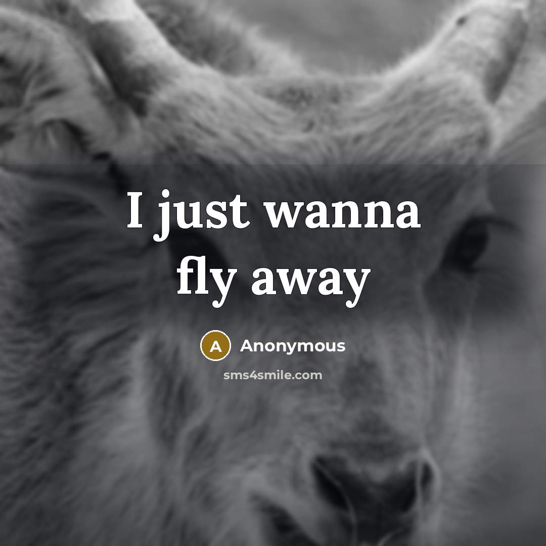 “I just wanna fly away” quote by Anonymous