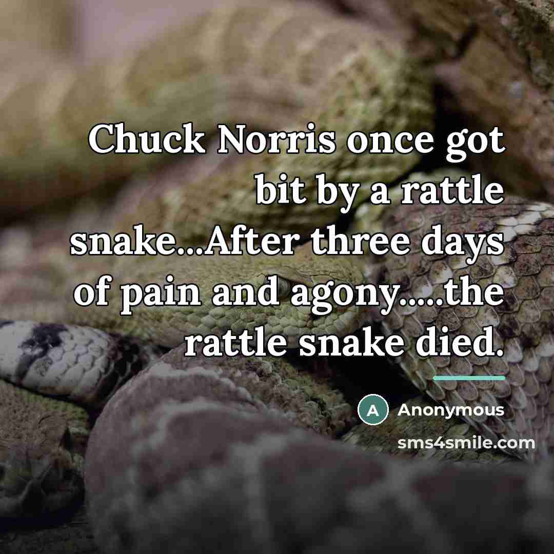 “Chuck Norris once got bit by a rattle snake...After three…” quote by Anonymous