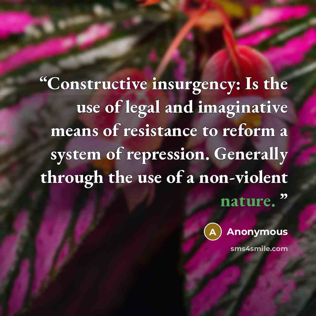 “Constructive insurgency: Is the use of legal and imaginative means of resistance to reform a system of repression. Generally through the use of a non-violent nature.” quote by Anonymous