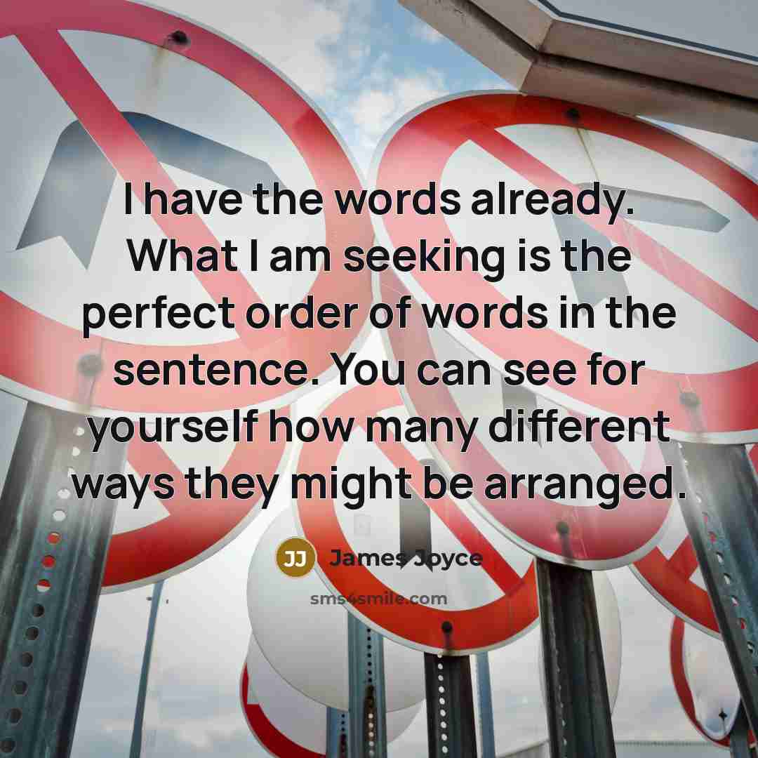 “I have the words already. What I am seeking is…” quote by James Joyce
