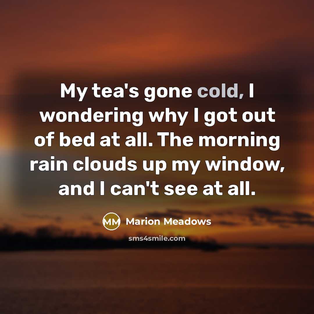 “My tea's gone cold, I wondering why I got out…” quote by Marion Meadows