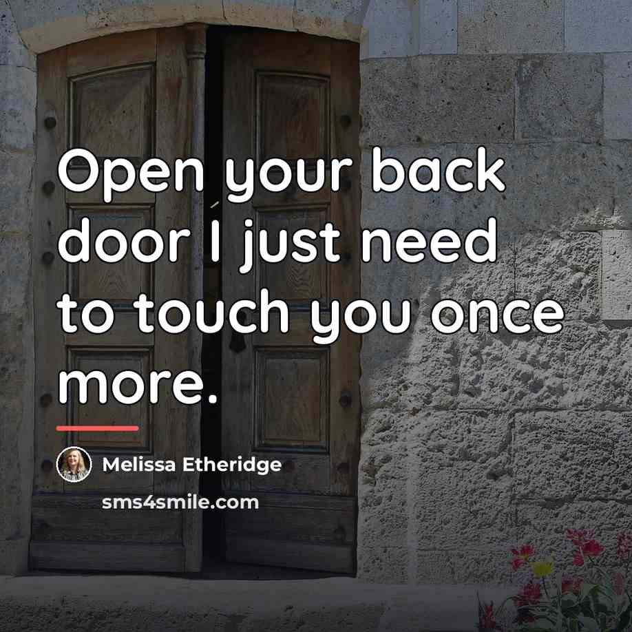 “Open your back door I just need to touch you…” quote by Melissa Etheridge