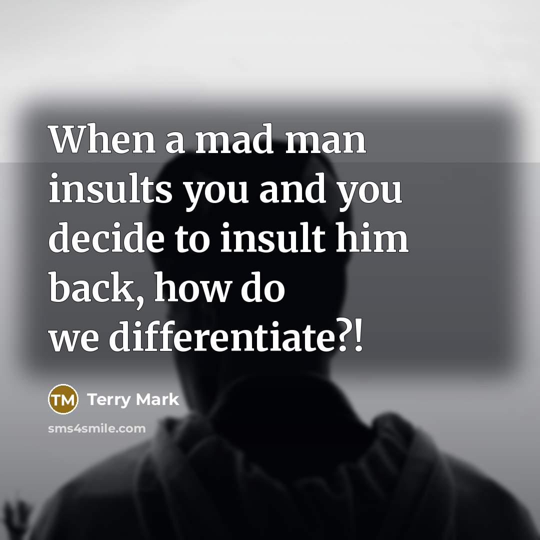 “When a mad man insults you and you decide to…” quote by Terry Mark
