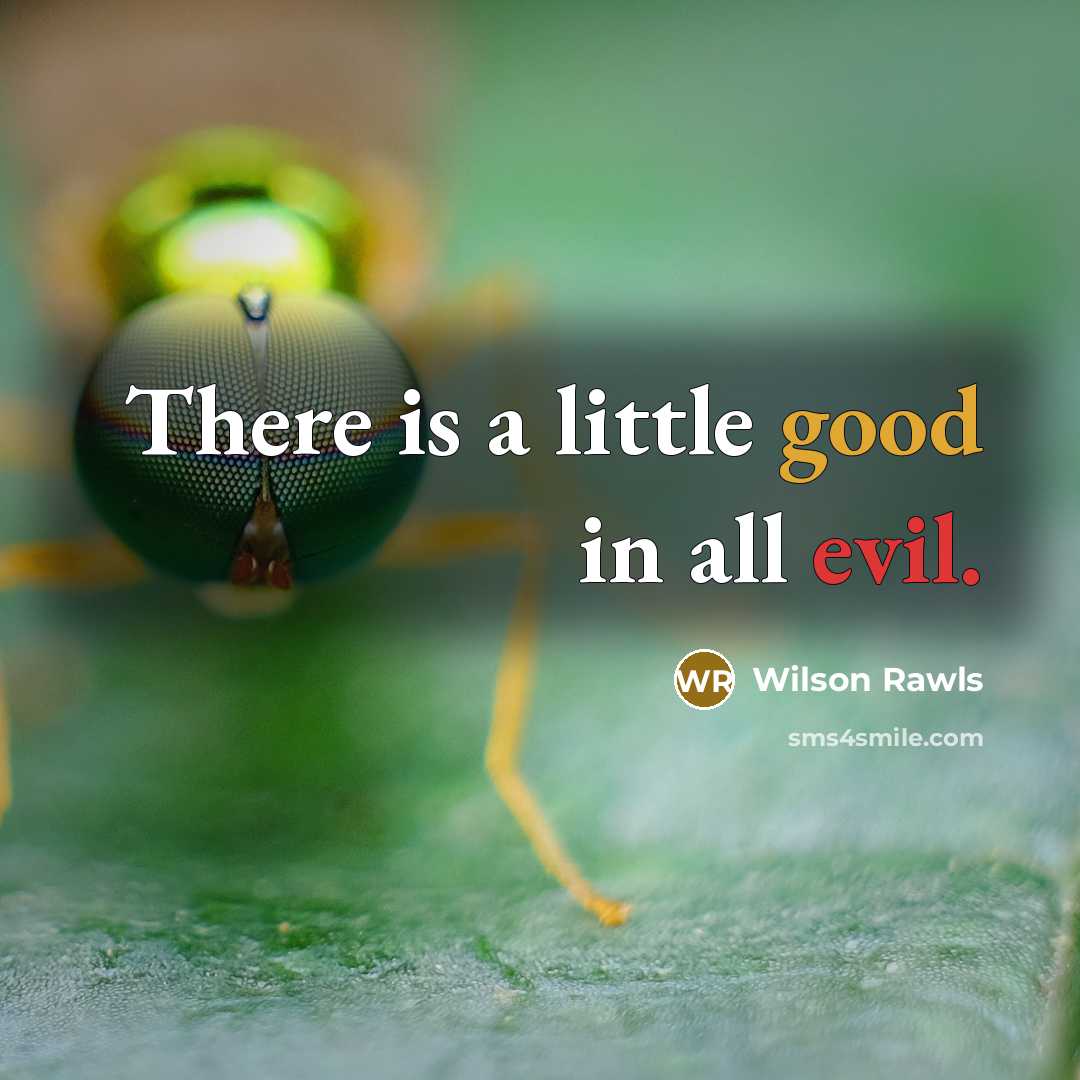 “There is a little good in all evil.…” quote by Wilson Rawls