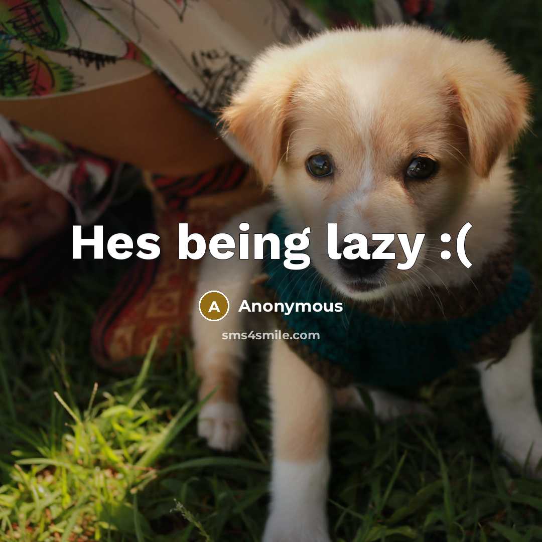 “Hes being lazy :(” quote by Anonymous