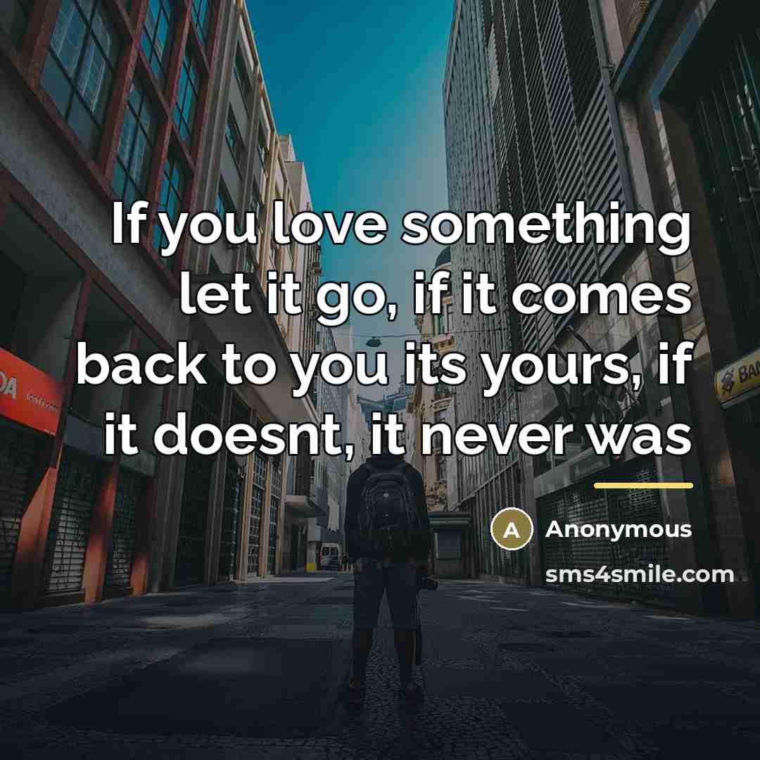 “If you love something let it go, if it comes…” quote by Anonymous