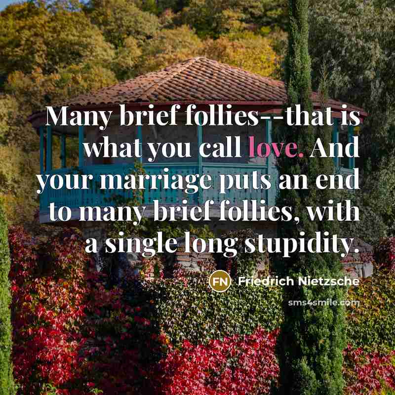 “Many brief follies--that is what you call love. And your…” quote by Friedrich Nietzsche