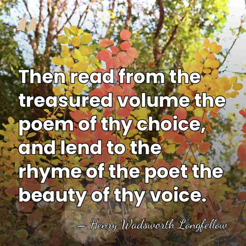 Then read from the treasured volume the poem of thy choice, and&hellip; - Henry Wadsworth Longfellow