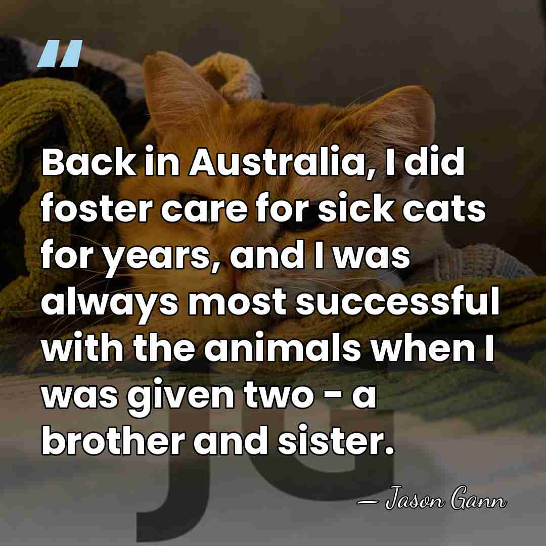 Back in Australia, I did foster care for sick cats for years,&hellip; - Jason Gann