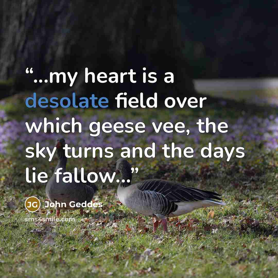 “...my heart is a desolate field over which geese vee, the sky turns and the days lie fallow...” quote by John Geddes