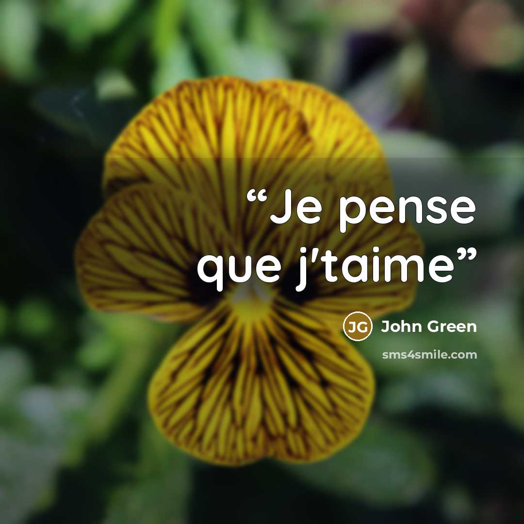 “Je pense que j'taime” quote by John Green