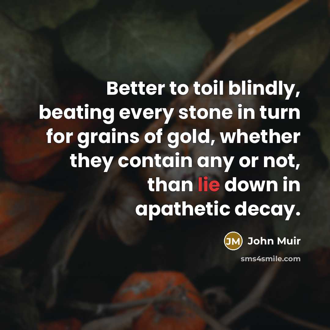 “Better to toil blindly, beating every stone in turn for…” quote by John Muir