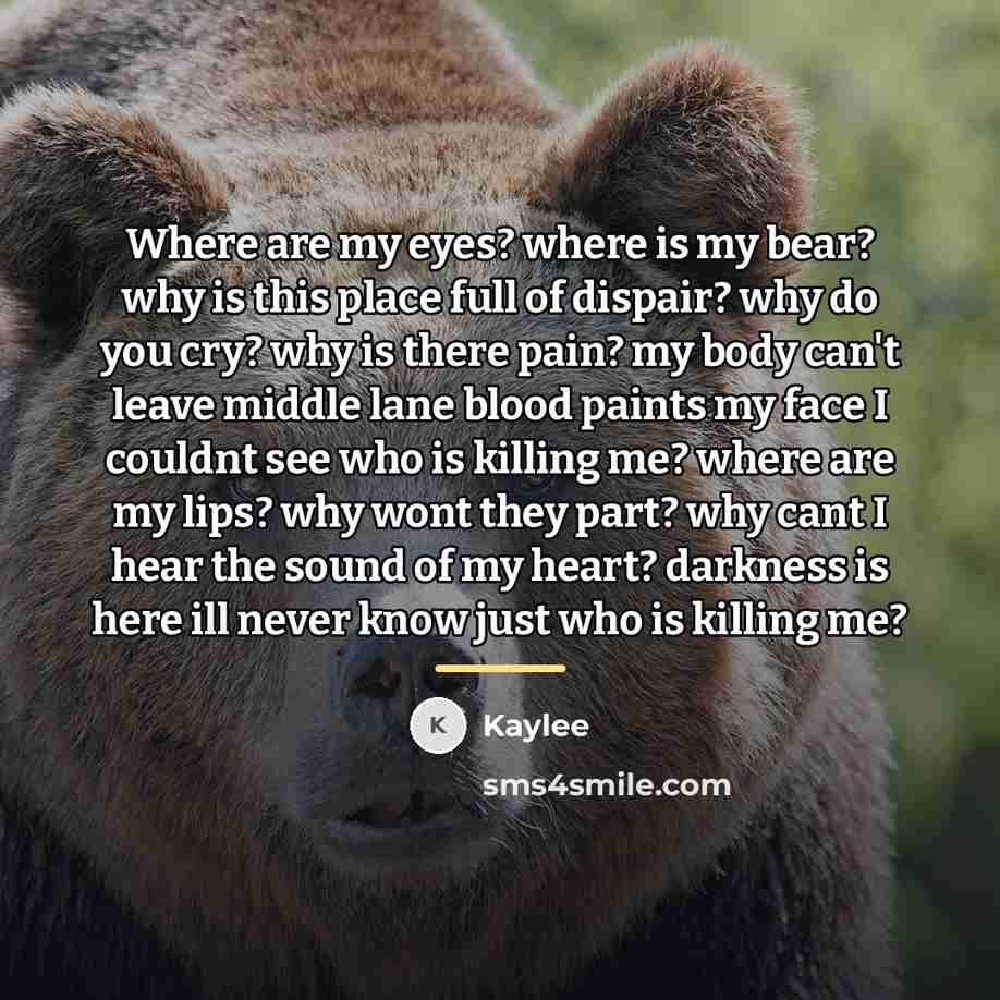 “Where are my eyes? where is my bear? why is…” quote by Kaylee