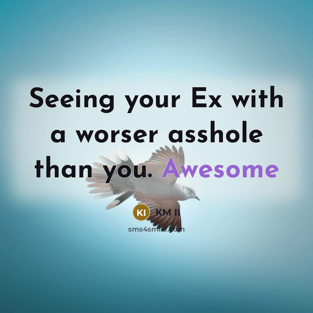 “Seeing your Ex with a worser asshole than you. Awesome” quote by KM II