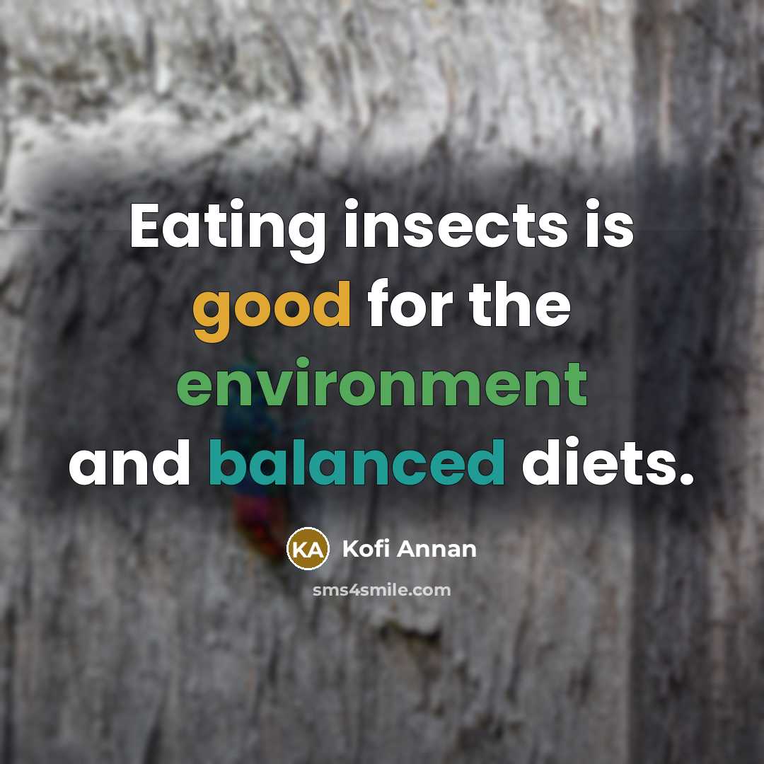 “Eating insects is good for the environment and balanced diets.…” quote by Kofi Annan