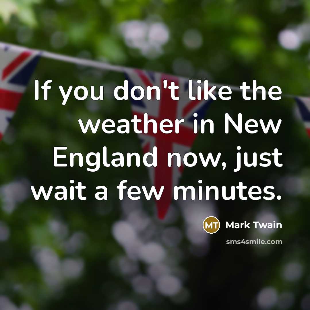 “If you don't like the weather in New England now,…” quote by Mark Twain