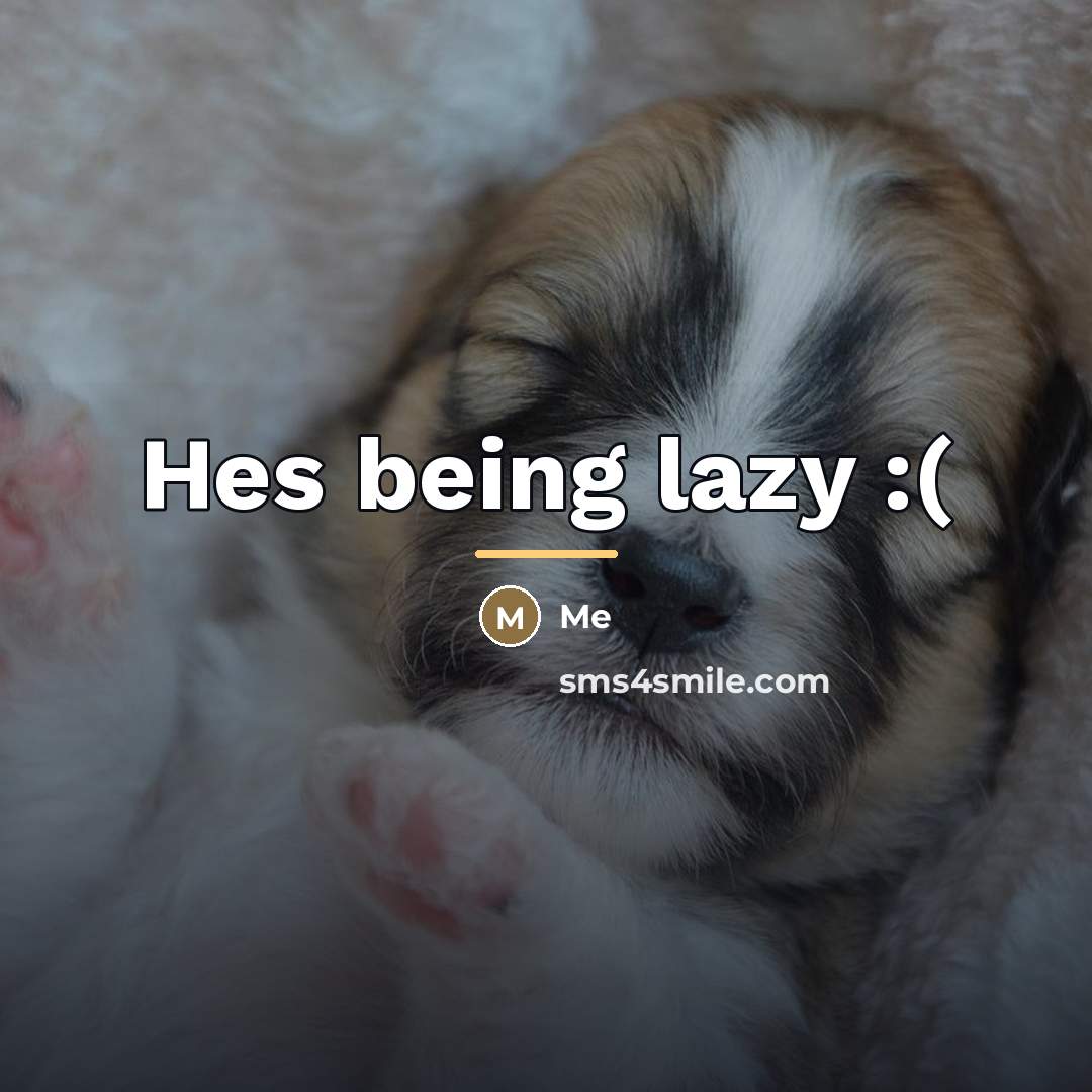“Hes being lazy :(…” quote by Me