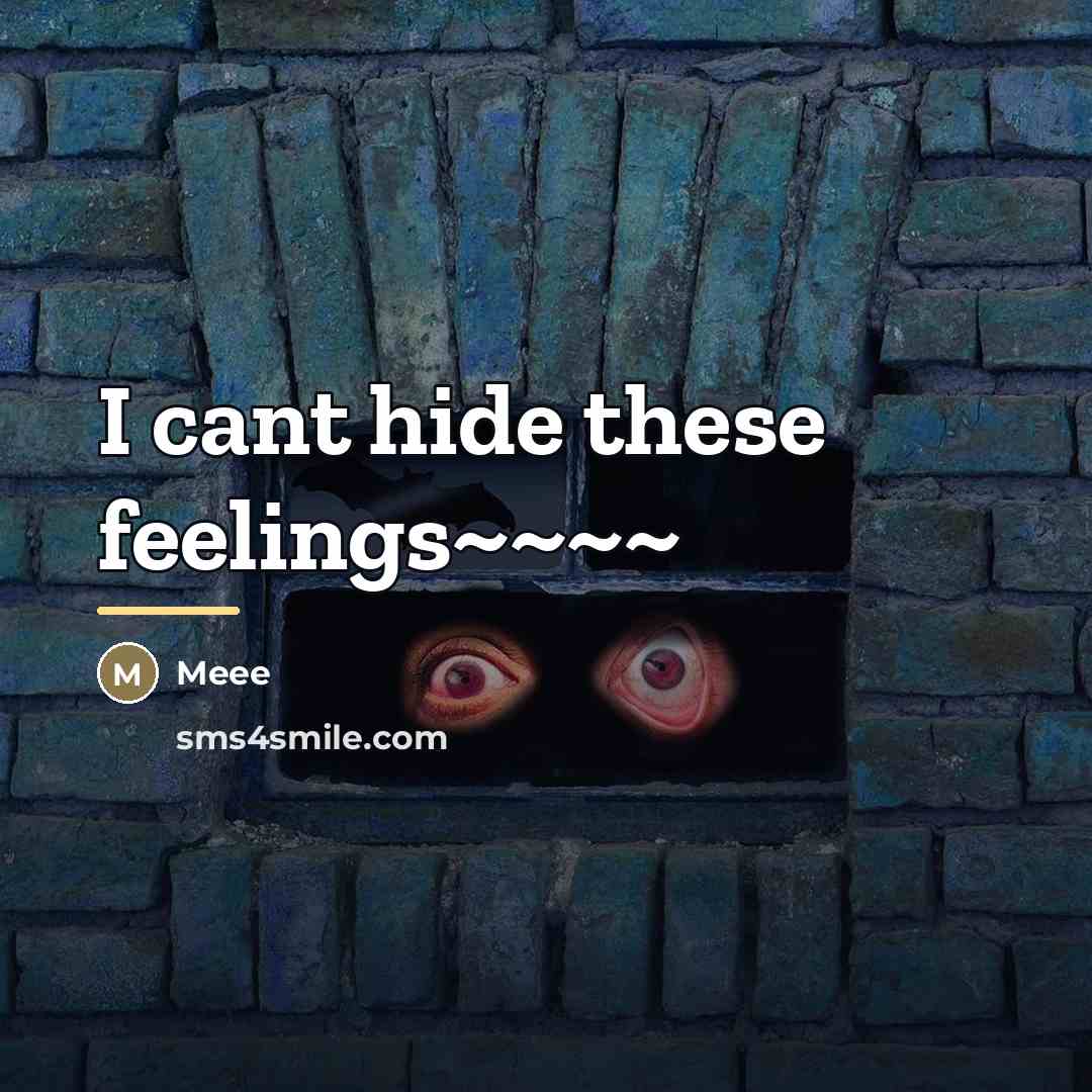 “I cant hide these feelings~~~~…” quote by Meee