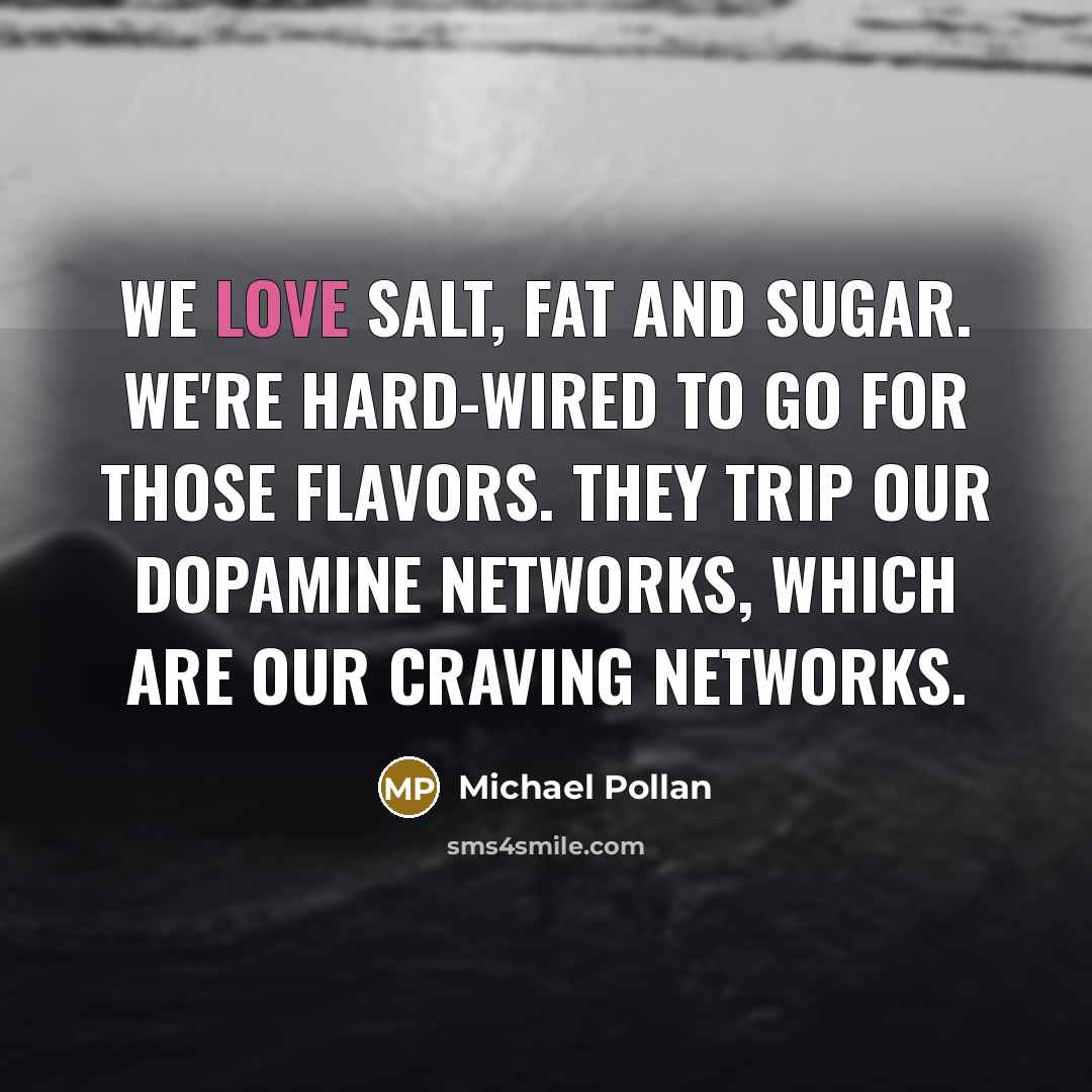 “We love salt, fat and sugar. We're hard-wired to go…” quote by Michael Pollan