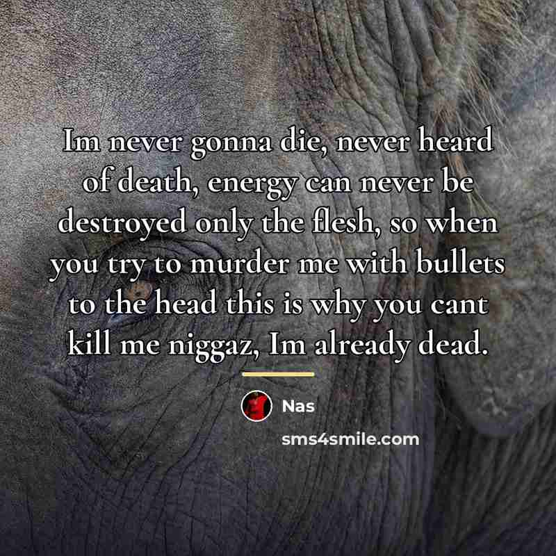 “Im never gonna die, never heard of death, energy can…” quote by Nas