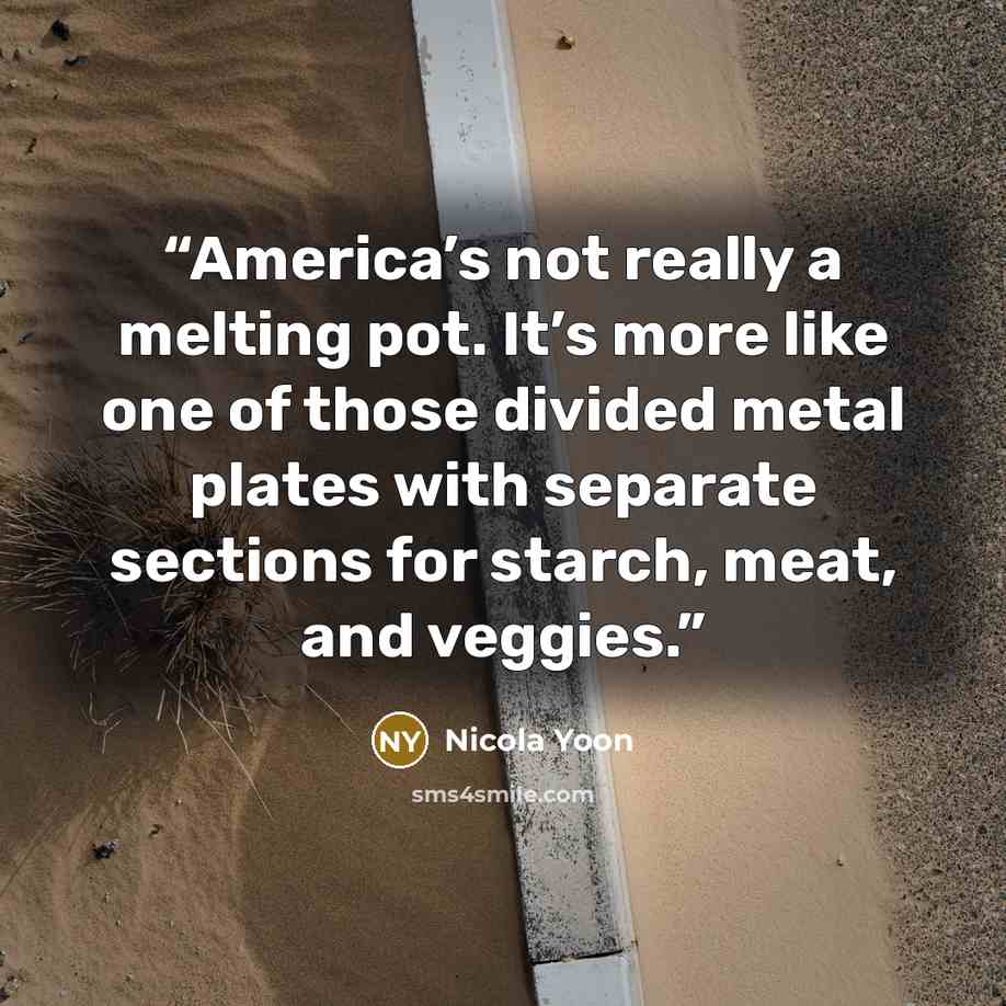 “America’s not really a melting pot. It’s more like one of those divided metal plates with separate sections for starch, meat, and veggies.” quote by Nicola Yoon