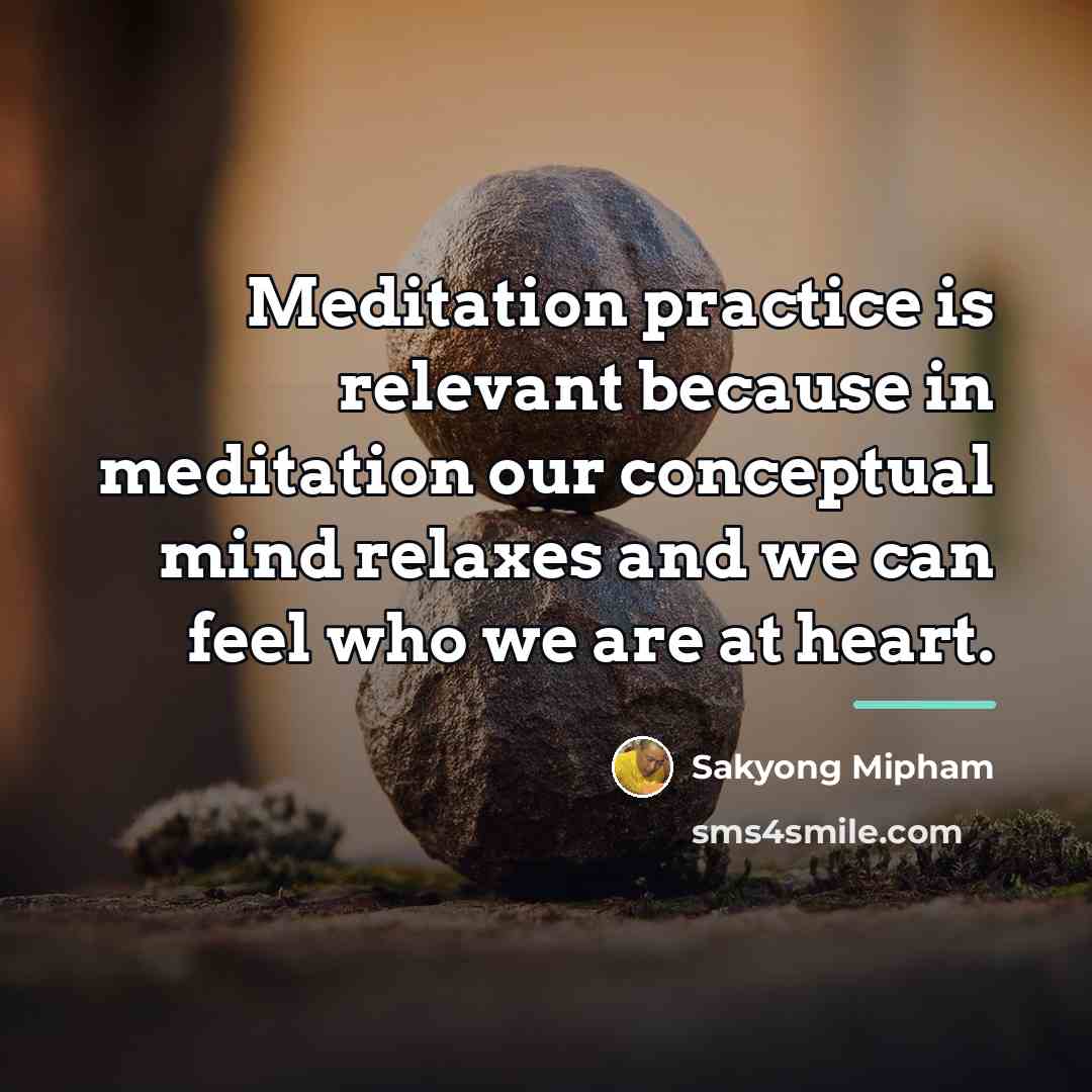 “Meditation practice is relevant because in meditation our conceptual mind…” quote by Sakyong Mipham