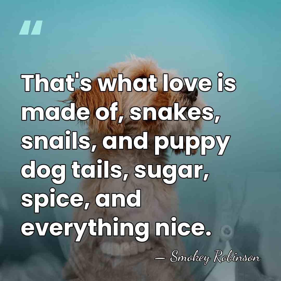 That's what love is made of, snakes, snails, and puppy dog tails,&hellip; - Smokey Robinson