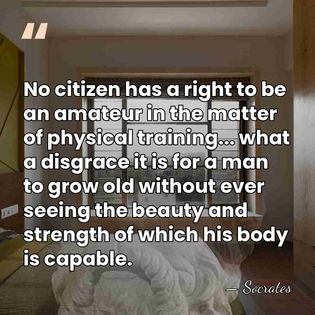 No citizen has a right to be an amateur in the matter&hellip; - Socrates
