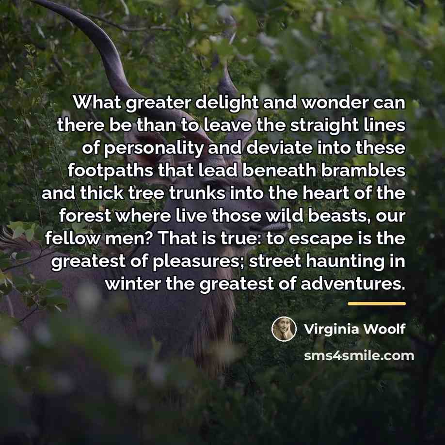 “What greater delight and wonder can there be than to…” quote by Virginia Woolf