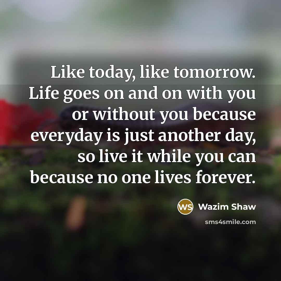“Like today, like tomorrow. Life goes on and on with…” quote by Wazim Shaw