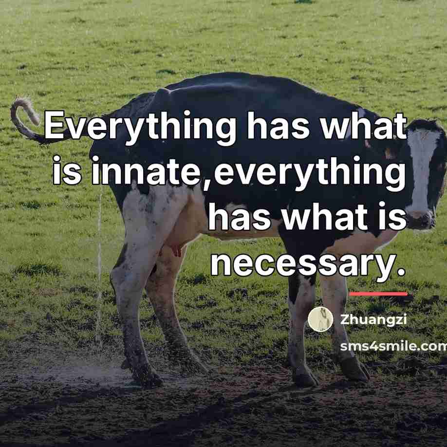 “Everything has what is innate,everything has what is necessary.…” quote by Zhuangzi