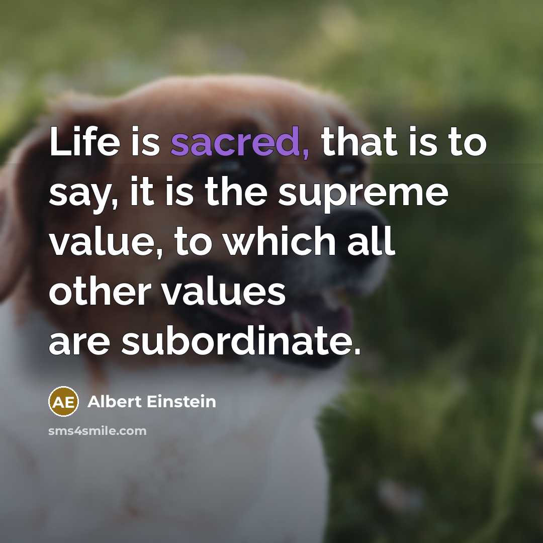 “Life is sacred, that is to say, it is the…” quote by Albert Einstein