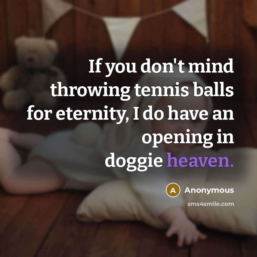 “If you don't mind throwing tennis balls for eternity, I…” quote by Anonymous