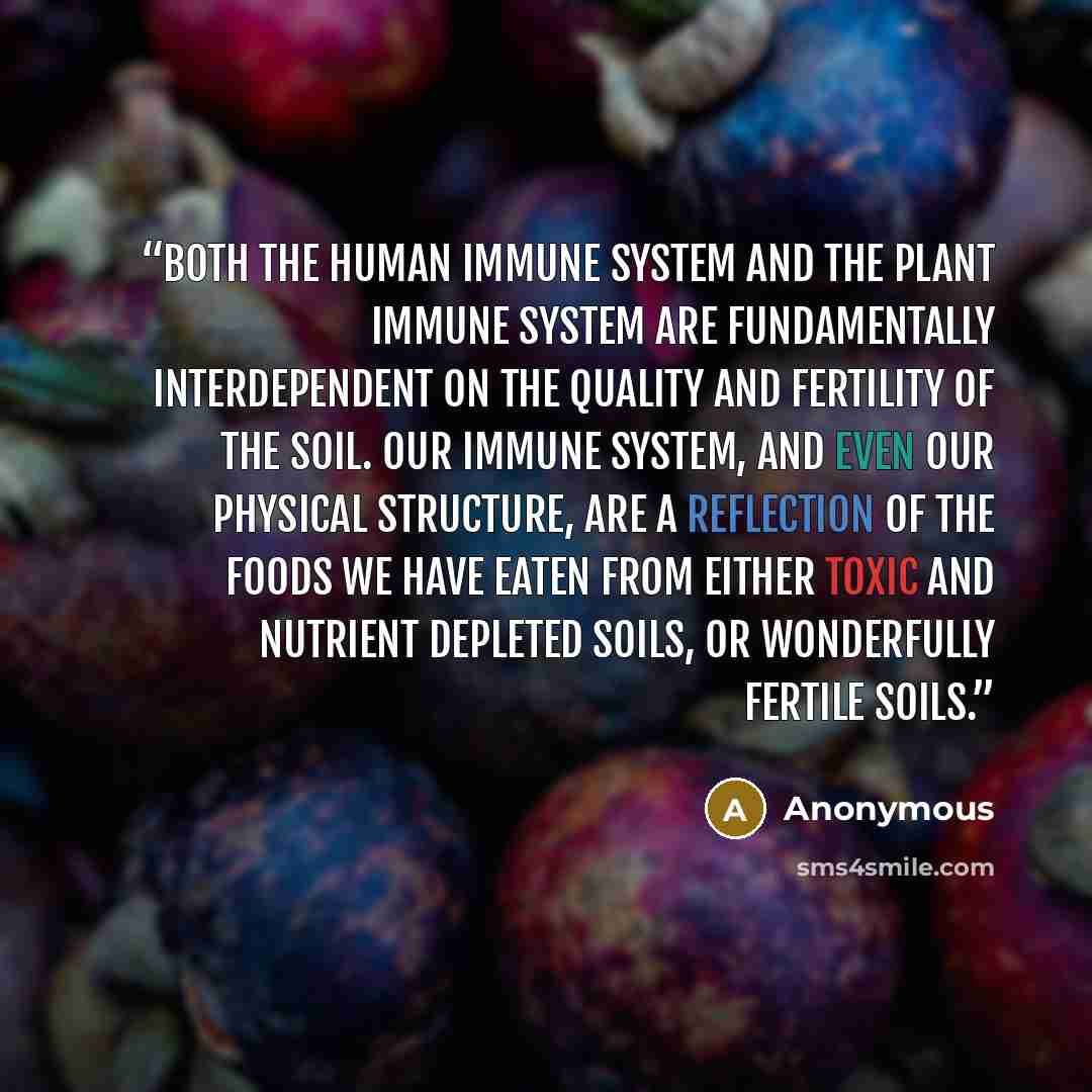 “Both the human immune system and the plant immune system are fundamentally interdependent on the quality and fertility of the soil. Our immune system, and even our physical structure, are a reflection of the foods we have eaten from either toxic and nutrient depleted soils, or wonderfully fertile…” quote by Anonymous