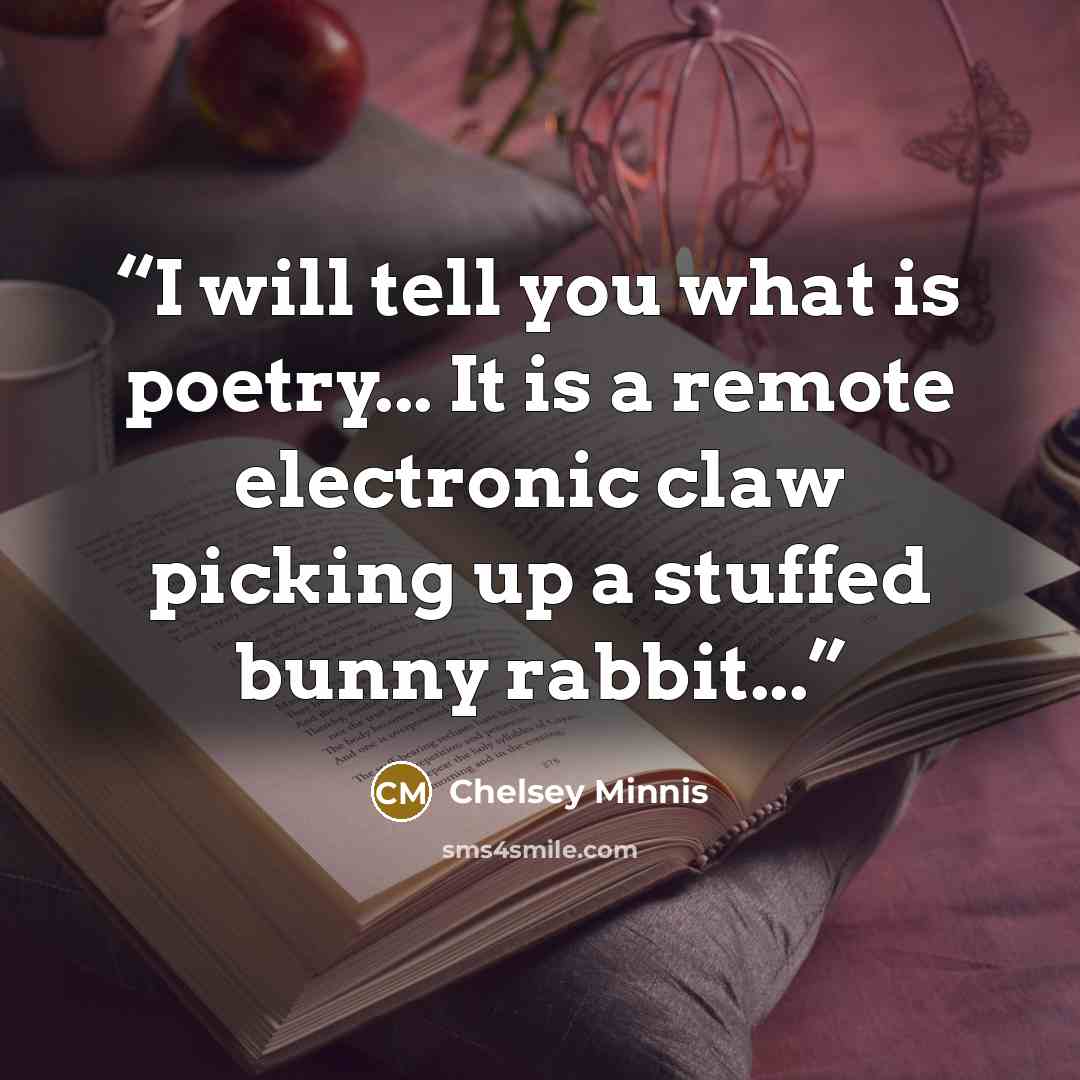 “I will tell you what is poetry... It is a remote electronic claw picking up a stuffed bunny rabbit...” quote by Chelsey Minnis