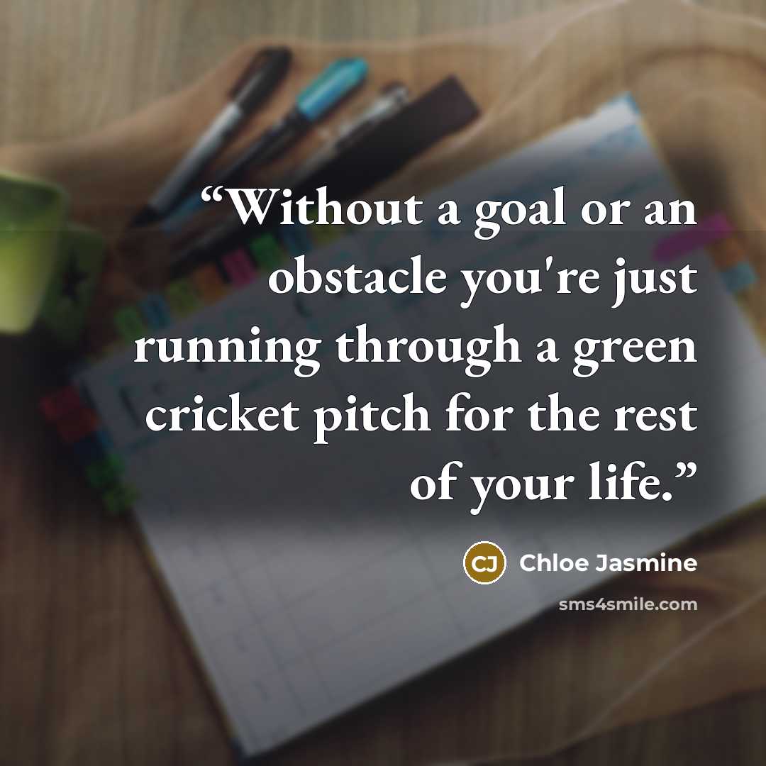 “Without a goal or an obstacle you're just running through a green cricket pitch for the rest of your life.” quote by Chloe Jasmine