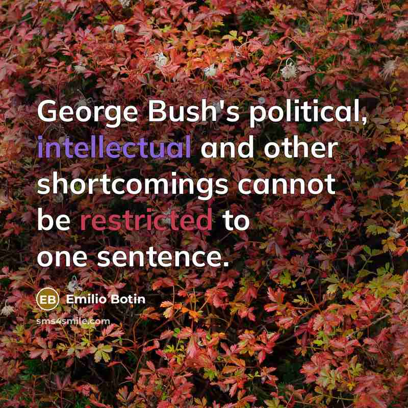 “George Bush's political, intellectual and other shortcomings cannot be restricted to one sentence.” quote by Emilio Botin