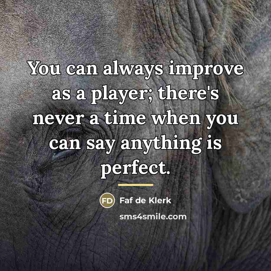 “You can always improve as a player; there's never a…” quote by Faf de Klerk