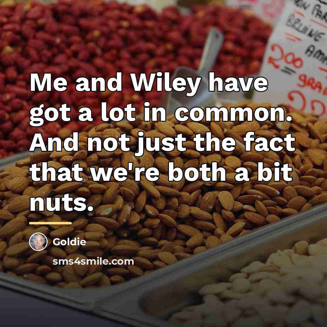 “Me and Wiley have got a lot in common. And…” quote by Goldie
