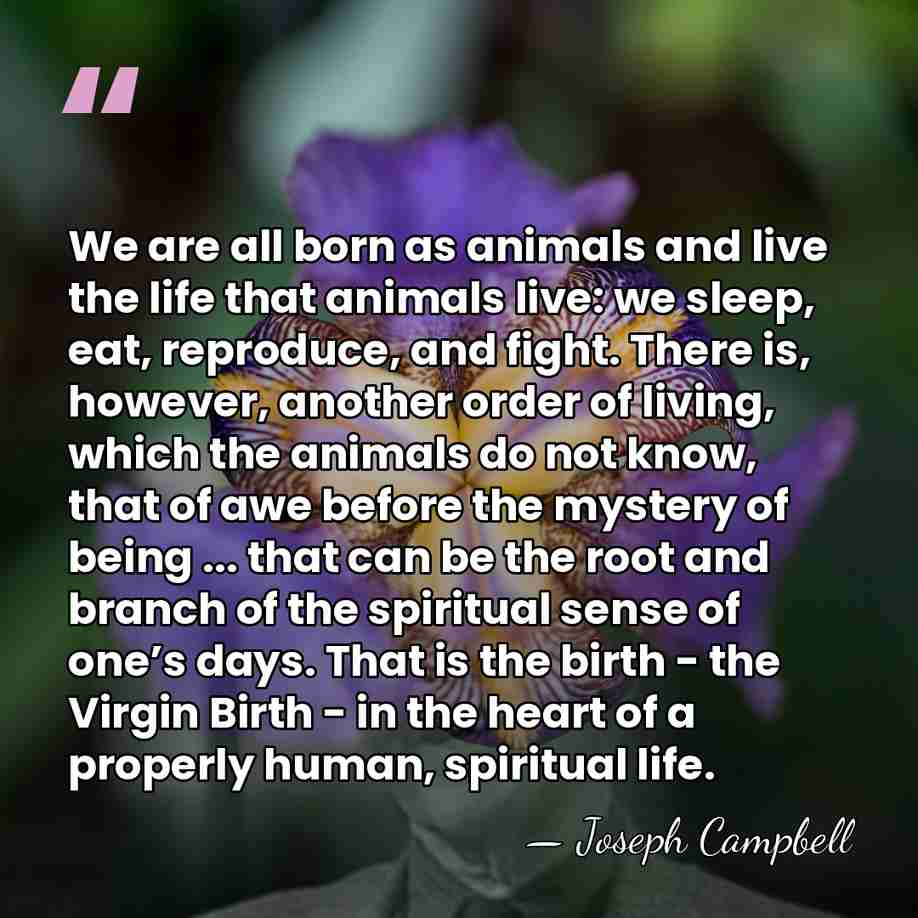 We are all born as animals and live the life that animals&hellip; - Joseph Campbell