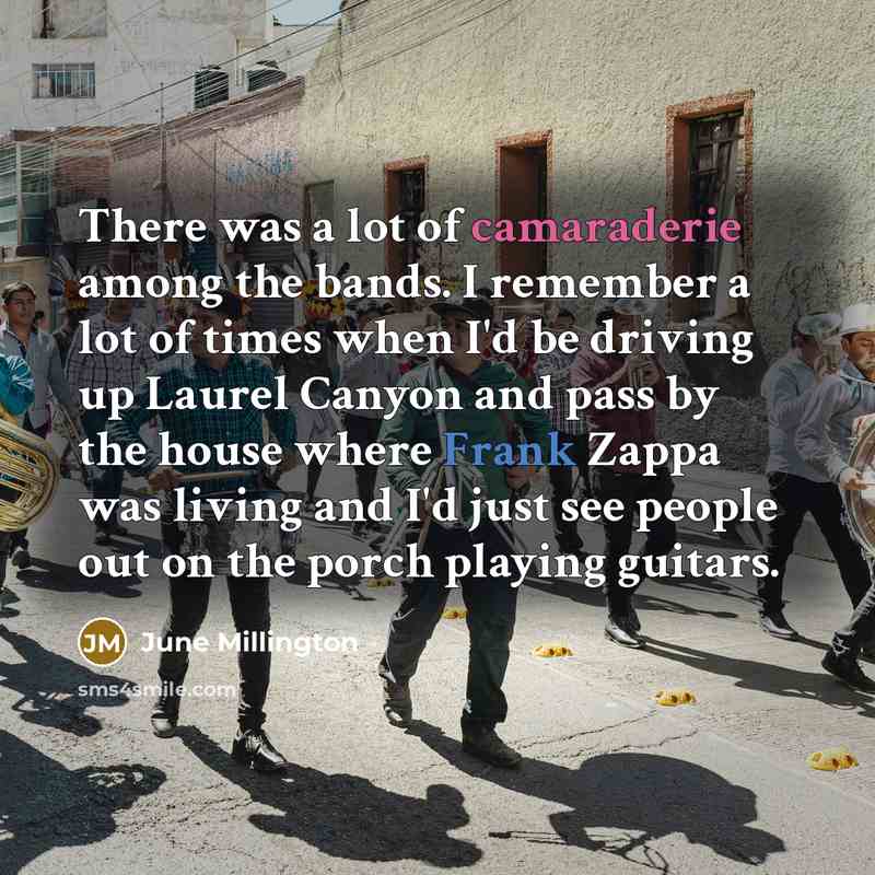 “There was a lot of camaraderie among the bands. I…” quote by June Millington